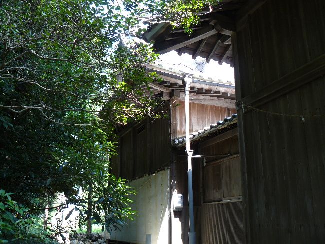 �����_��