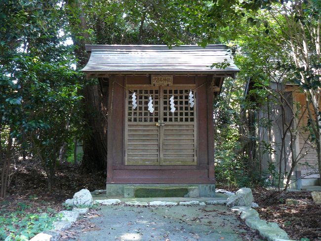 �����_��