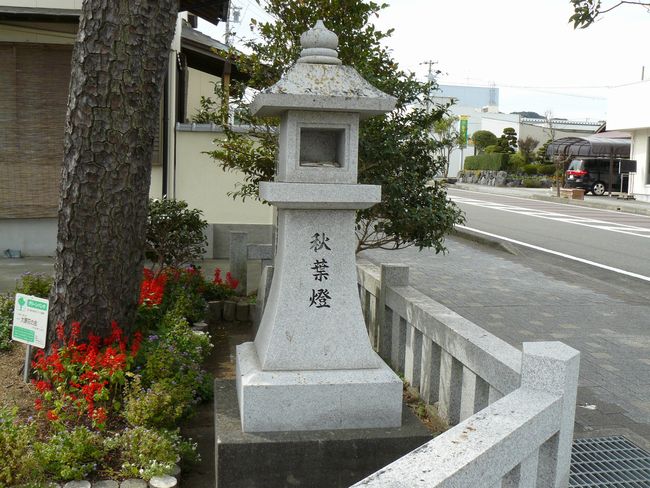 ���̓���_