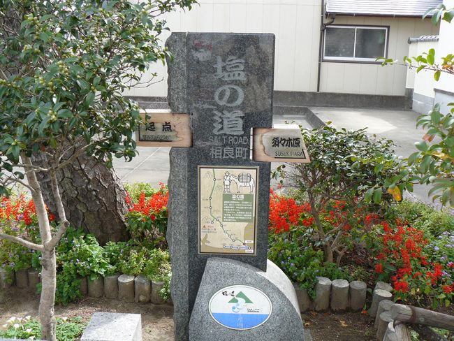 ���̓���_