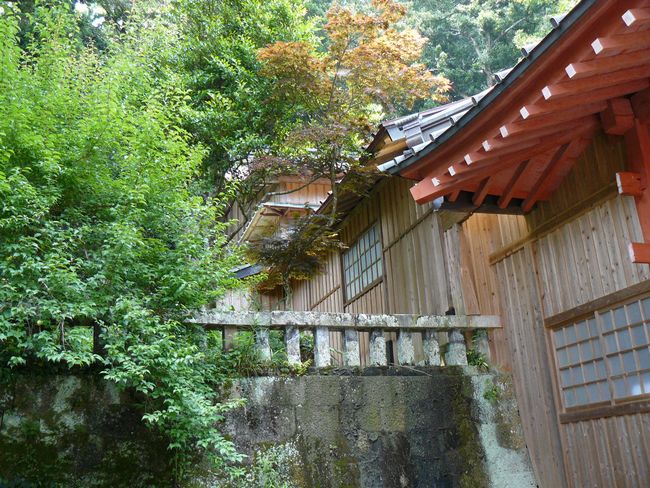 �ɓ߉��_��