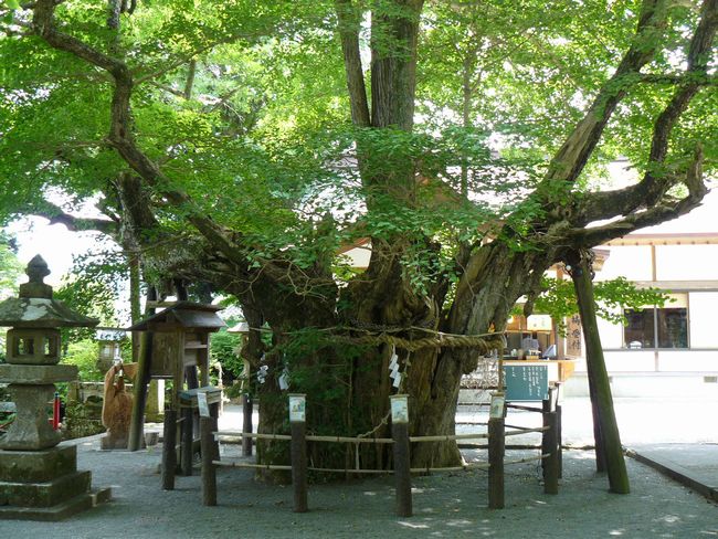 �ɓ߉��_��