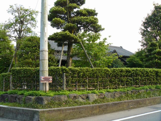 �O����t�̊�