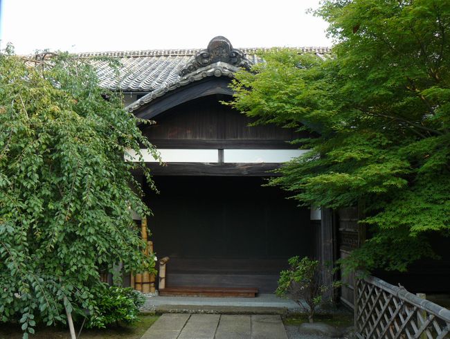 �O����t�̊�