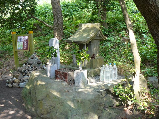 �����_��