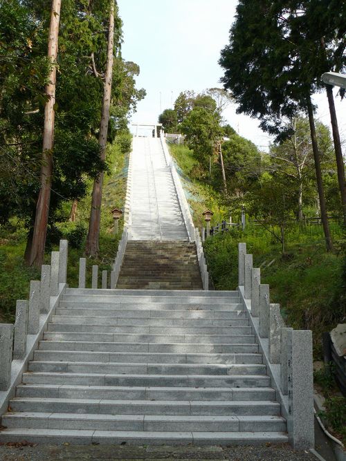 �����_��