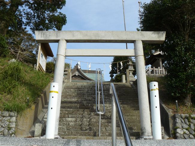 �����_��