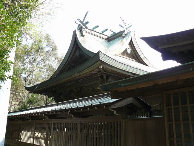 �����_��