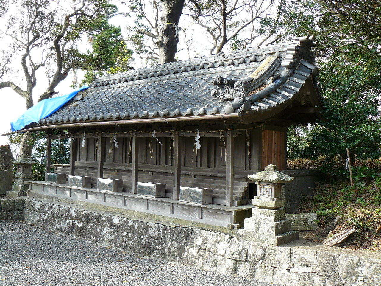 �����_��