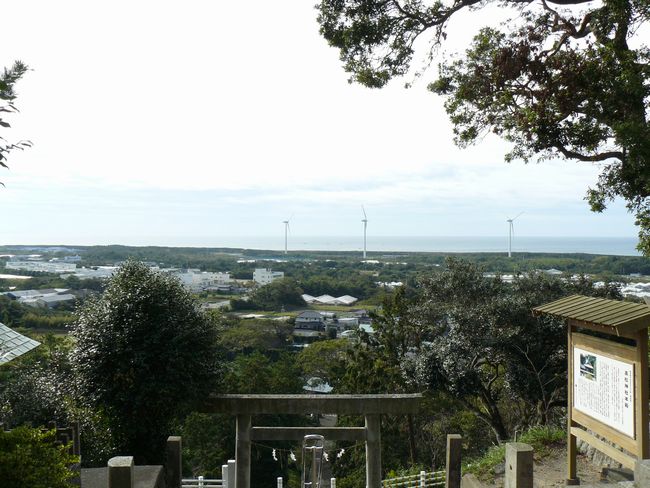 �����_��