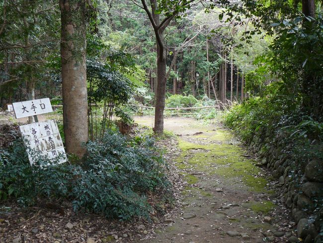 �z�K����