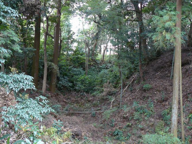 �z�K����