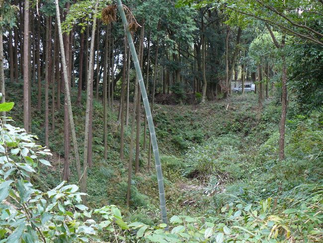 �z�K����