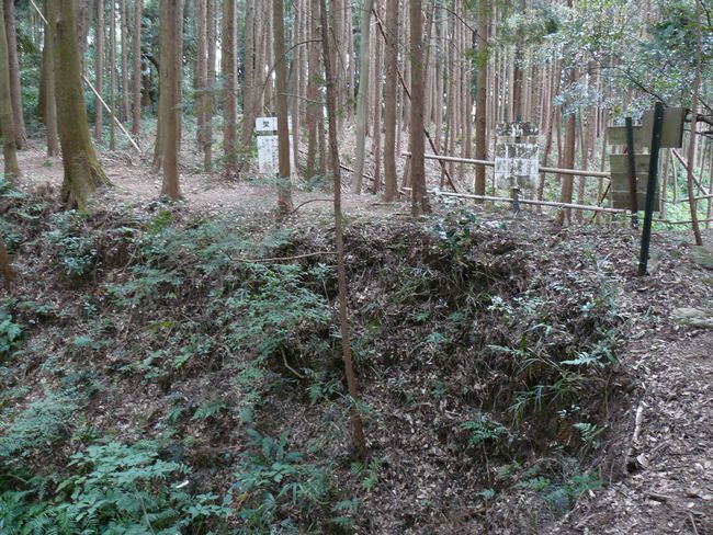 �z�K����