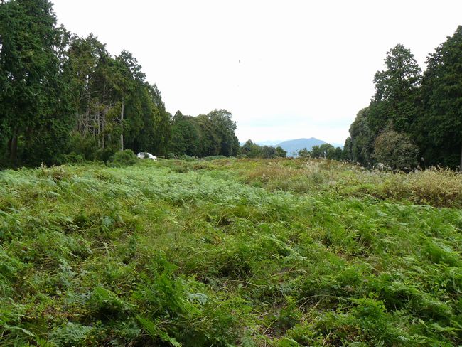 �z�K����