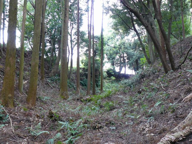 �z�K����