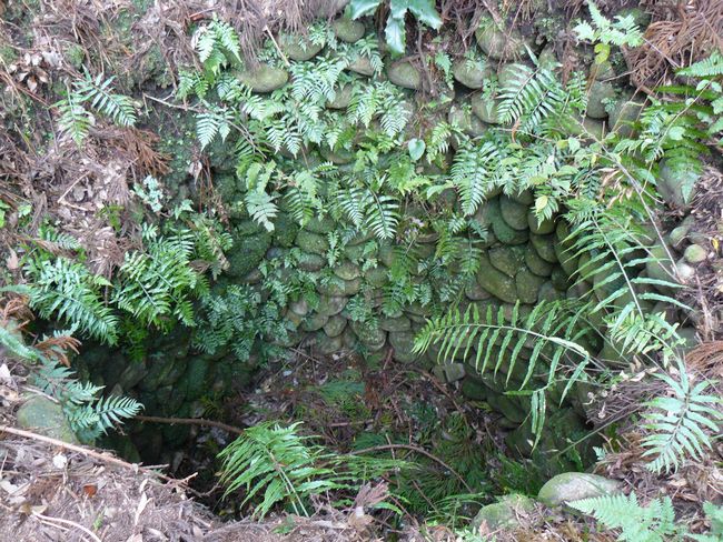 �z�K����