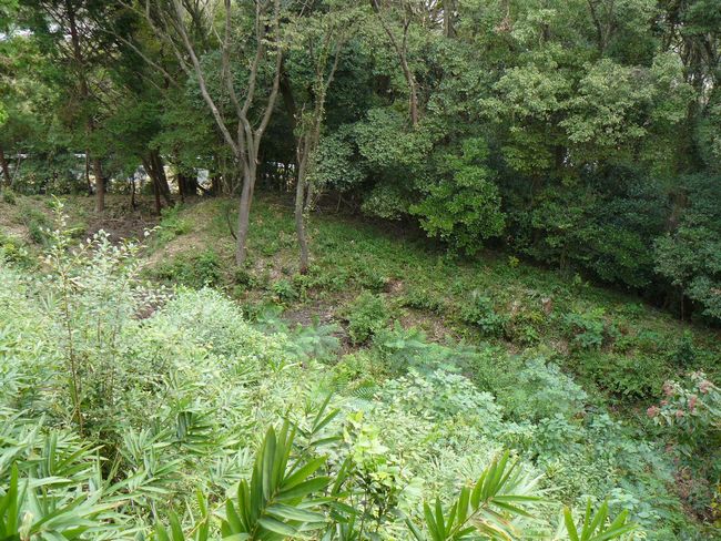 �z�K����