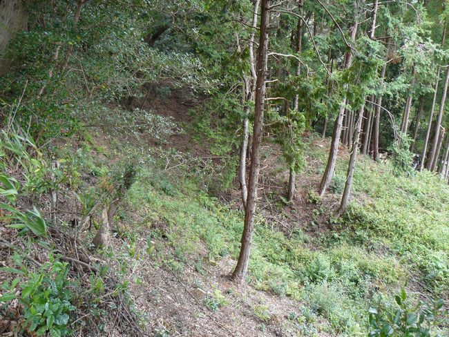 �z�K����