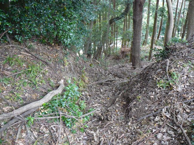 �z�K����