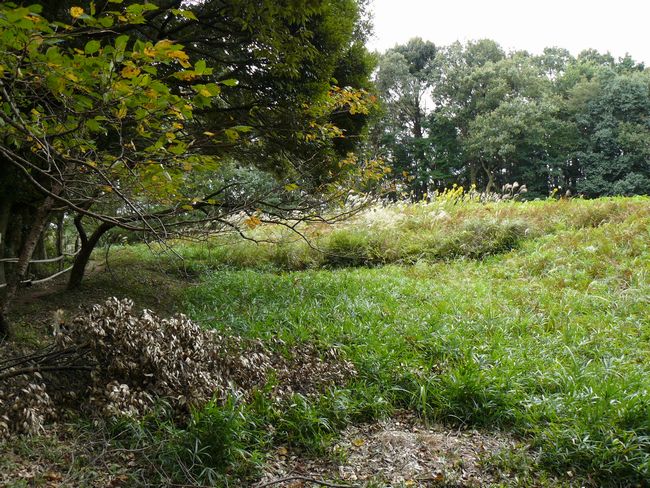 �z�K����