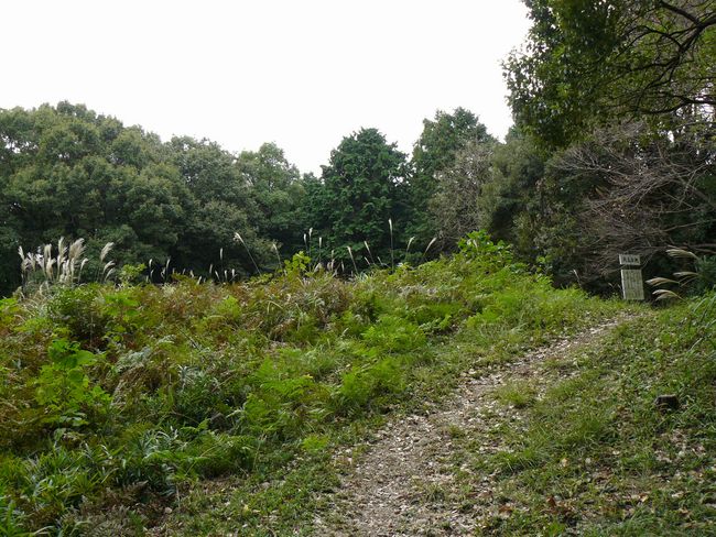 �z�K����