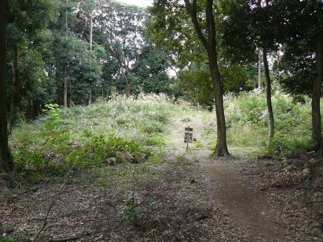 �z�K����