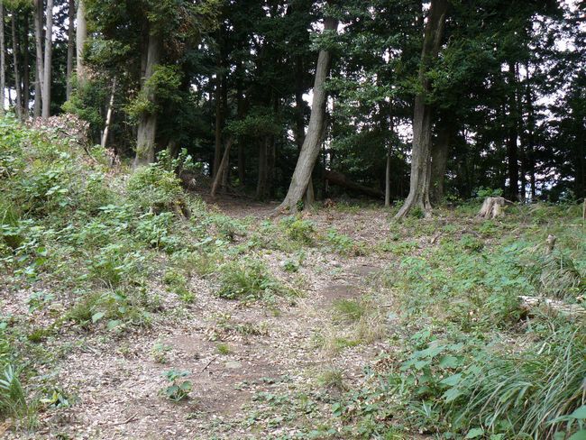 �z�K����