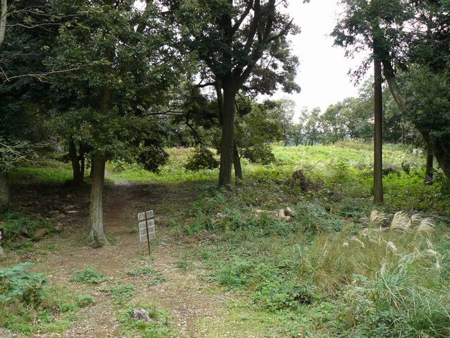 �z�K����