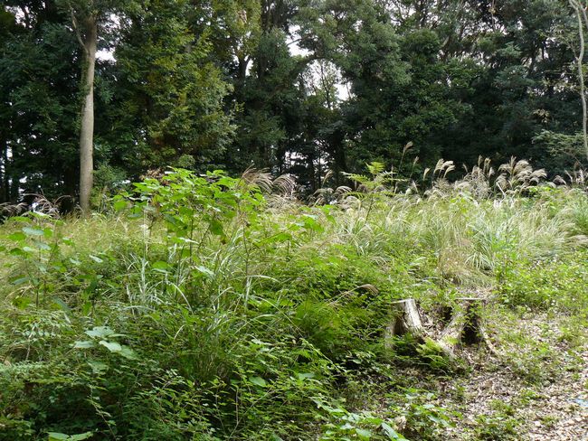 �z�K����