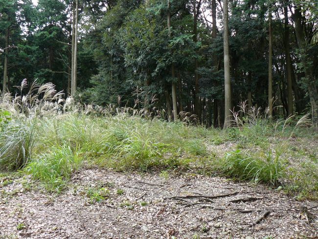 �z�K����