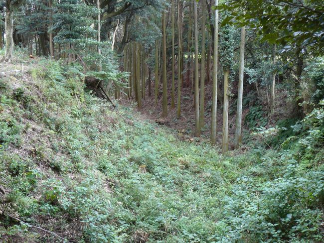 �z�K����