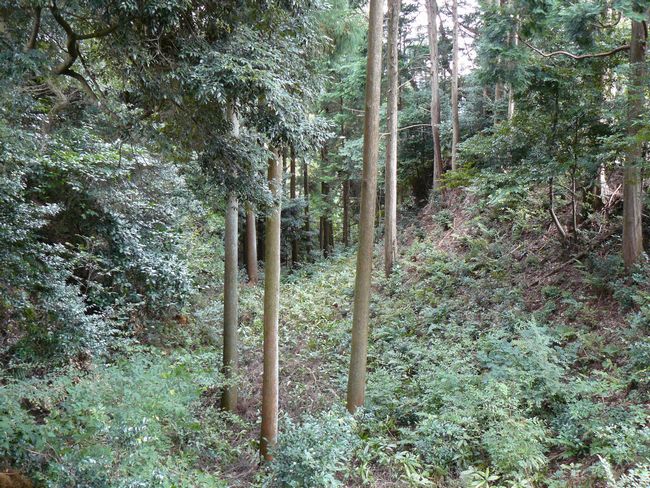 �z�K����