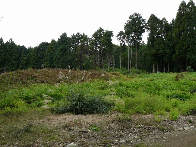 �z�K����