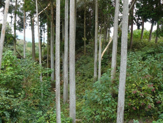 �z�K����