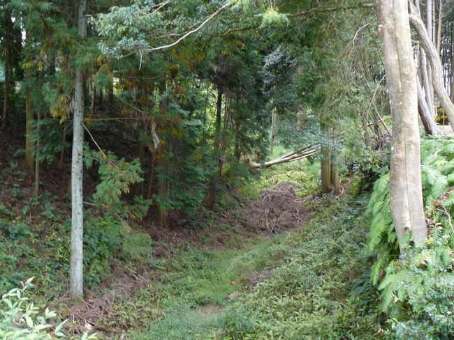 �z�K����