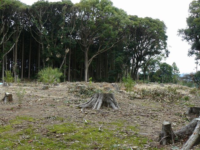 �z�K����