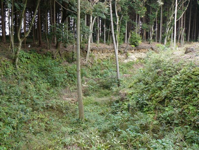 �z�K����