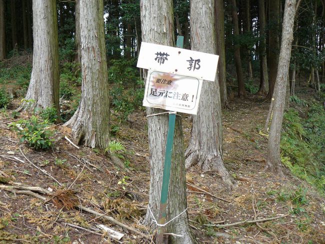 �z�K����