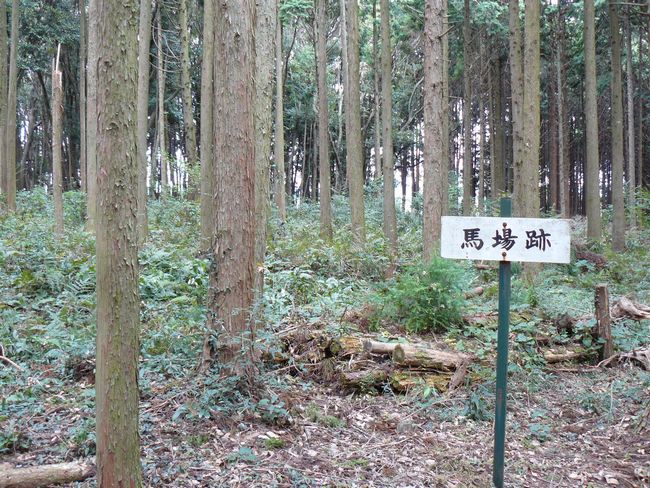 �z�K����