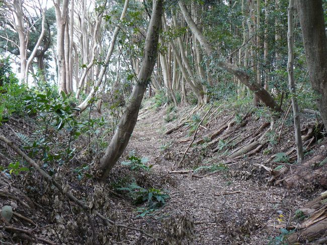 �z�K����