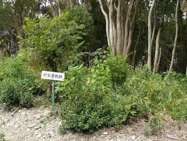 �z�K����