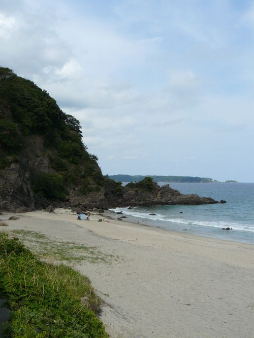 ���{����