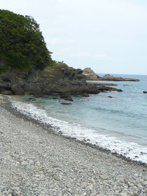 ���{����