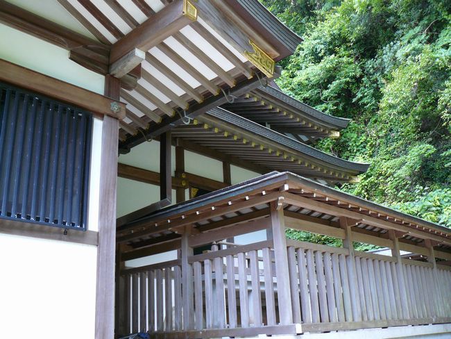 ���c�����_��