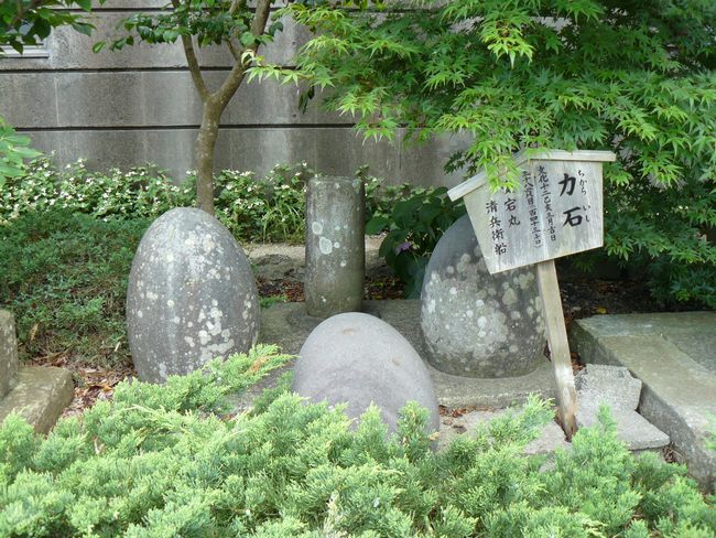 ���c�����_��