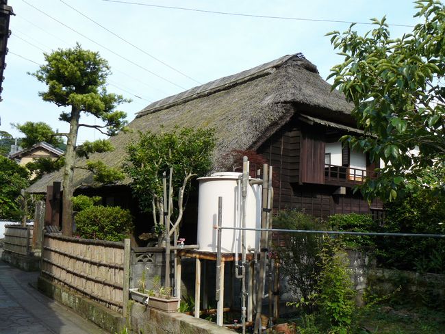 �g�c���A����