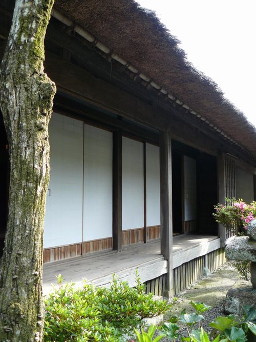 �g�c���A����