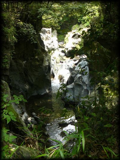 �i�����k�J