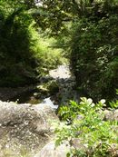 �i�����k�J